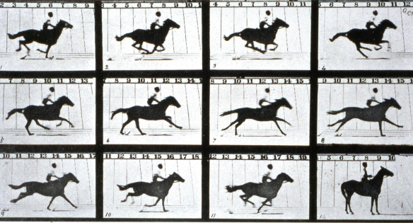 Eadweard Muybridge: 'The Horse in Motion'